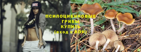 марки nbome Алзамай