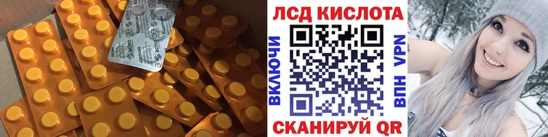 наркотики  Боровичи  KRAKEN ТОР  Лсд 25 экстази ecstasy 