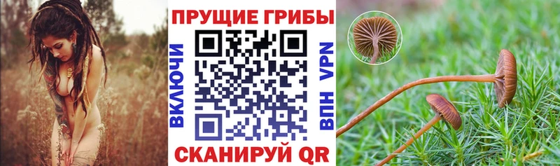 Псилоцибиновые грибы GOLDEN TEACHER  магазин    МЕГА ССЫЛКА  Боровичи 