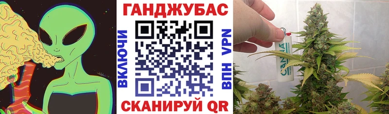МАРИХУАНА сатива  Боровичи 